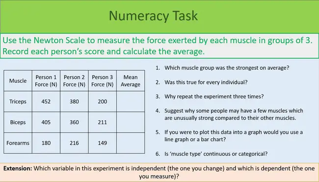 Joint Information Activities Group : 联合信息活动组