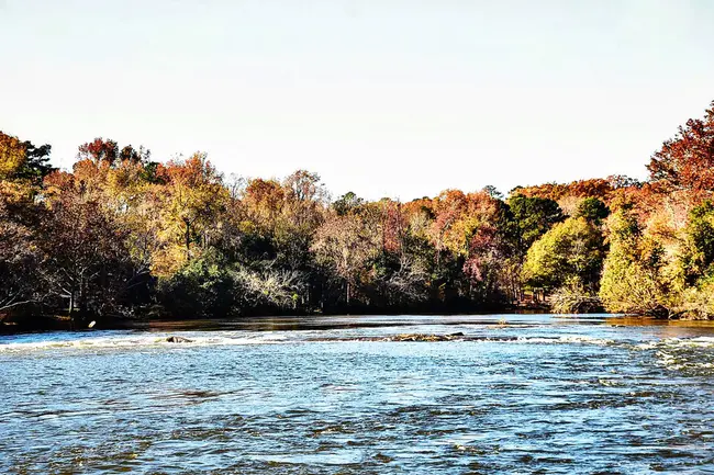 Saluda River Academy for the Arts : 萨卢达河艺术学院