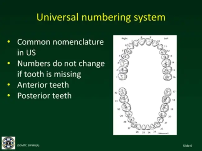 Division of Dermatology and Dental Products (CDER) : 皮肤病和牙科产品司