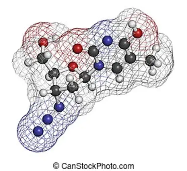 Azidothymidine glucuronide : 叠氮胸苷葡萄糖苷酸