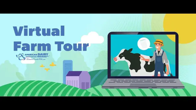 Virtual Farm Creative : 虚拟农场创意