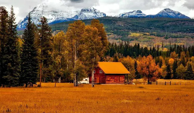 Colorado Choice Transitions : 科罗拉多州选择过渡