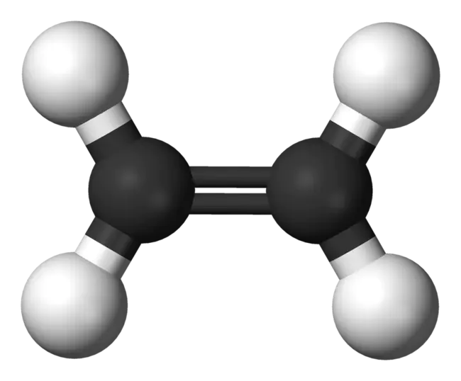 Ethylene : 乙烯