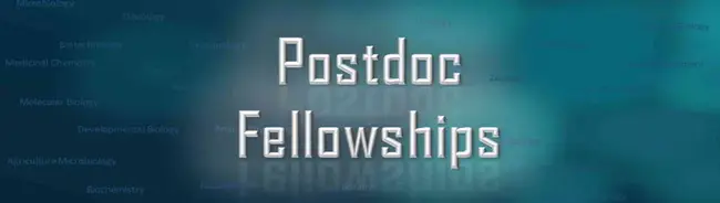 Postdoctoral Fellowship : 博士后奖学金