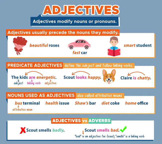 Attributive Non Equivalence : 定语不等价