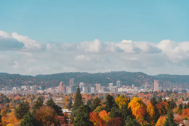 Portland Medical Cannabis Club : 波特兰医疗大麻俱乐部