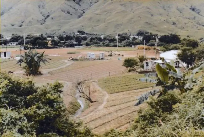 Sokoine National Agricultural Library : 索克宁国家农业图书馆