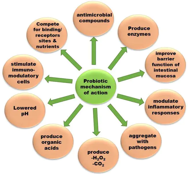 Global Biotic Mercury Synthesis : 全球生物汞合成