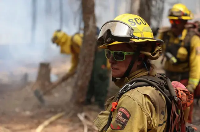 California Fire Chiefs Association : 加州消防局长协会