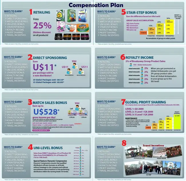 Individual Partnership Action Plan : 个人合伙行动计划