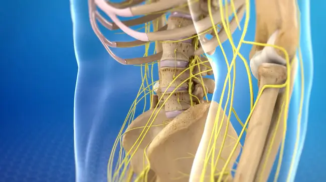 Lumbar sympathetic ganglion block : 腰交感神经节阻滞