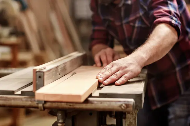 Carpentry and Masonry Specialist : 木工和砖石专家