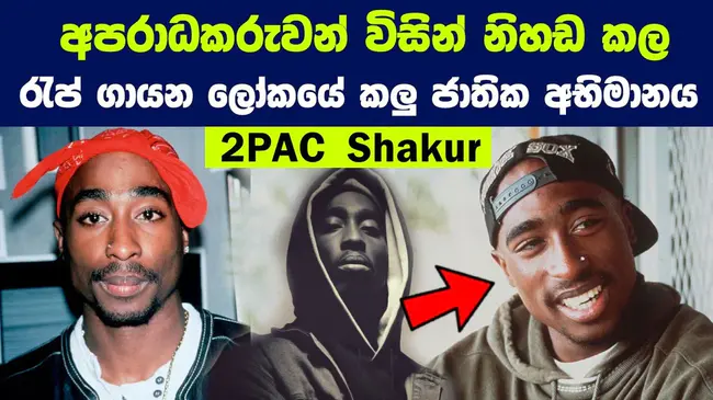 Tupac Amaru Shakur Foundation : 图帕克阿马鲁沙克尔基金会