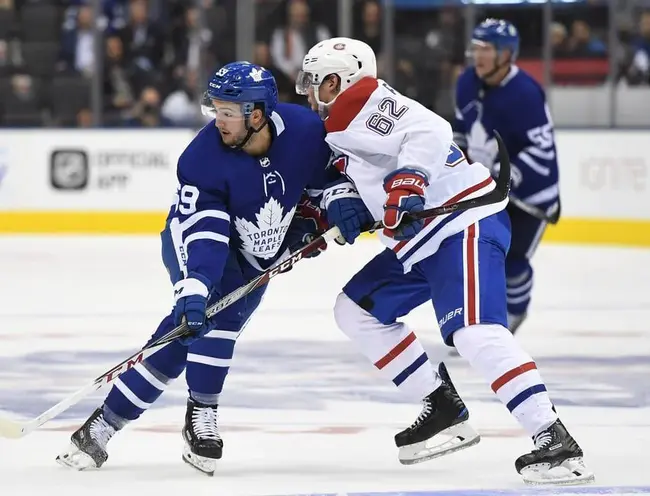 Maple Leafs Sports Entertainment : 枫叶体育娱乐