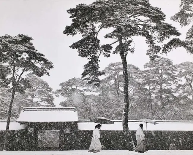 Leiden University Office Tokyo : 东京莱顿大学办公室