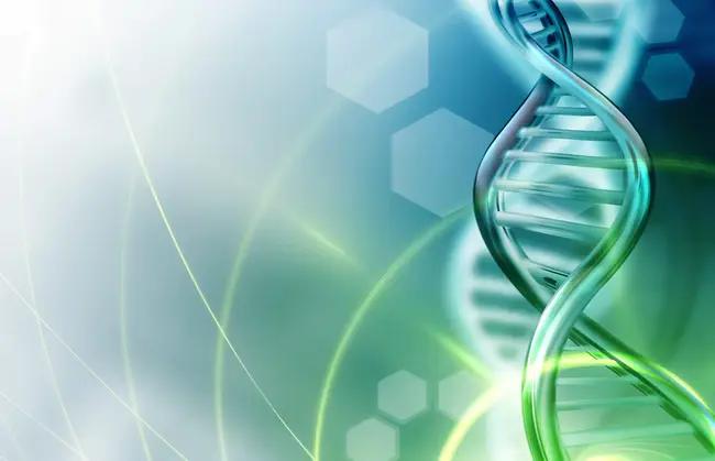 Biotech Entrepreneurship : 生物科技创业