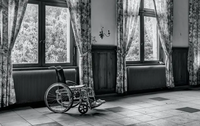 Disability Services Advisory Council : 残疾服务咨询委员会