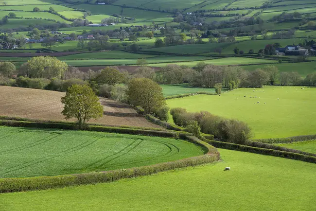 Shropshire Tourism Research Unit : 什罗普郡旅游研究所