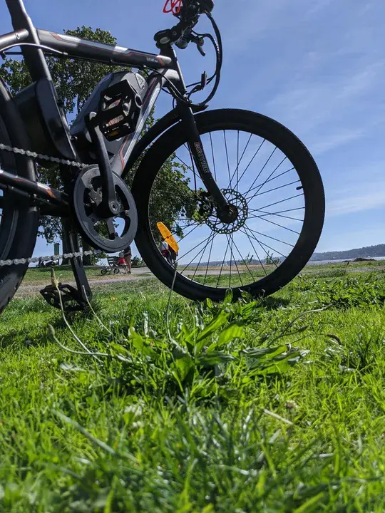 Support Your Local Biker : 支持你当地的摩托车手