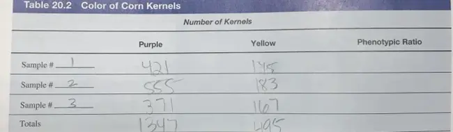 Kernels and Valuation Tables : 内核和评估表