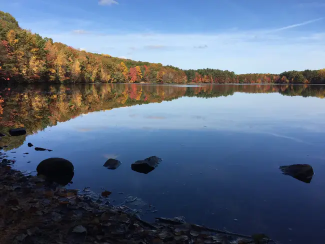 Franklin Lakes Education Foundation : 富兰克林湖教育基金会