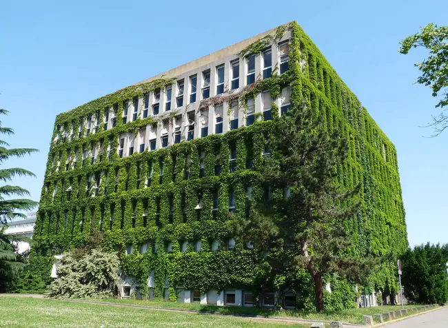 Université de Strasbourg : 斯特拉斯堡大学