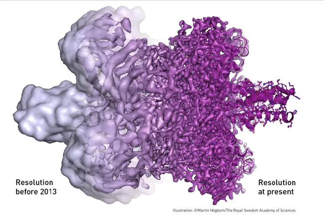 Electron Microscopy Sciences : 电子显微镜科学