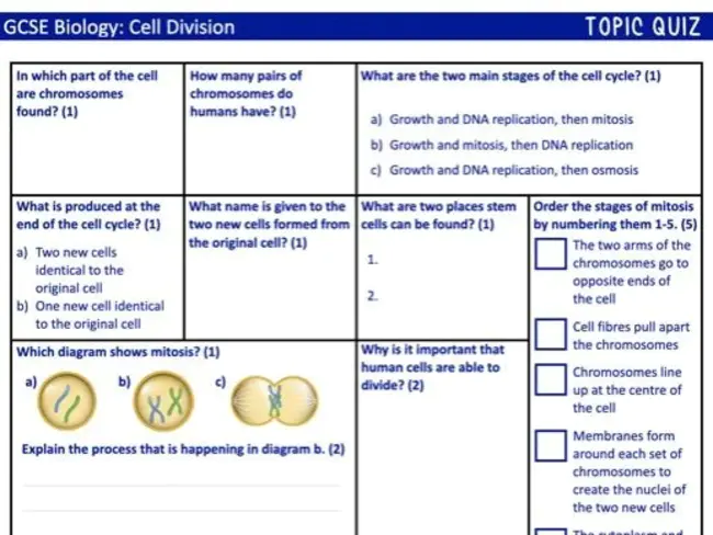 Division of Cell Biology and Biophysics : 细胞生物学和生物物理学司