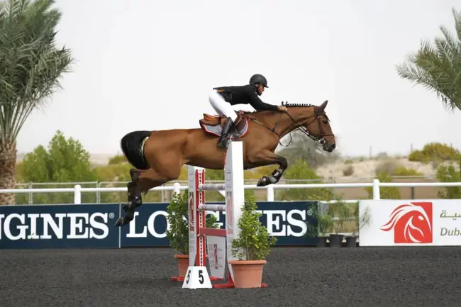 Emirates Equestrian Federation : 阿联酋马术联合会