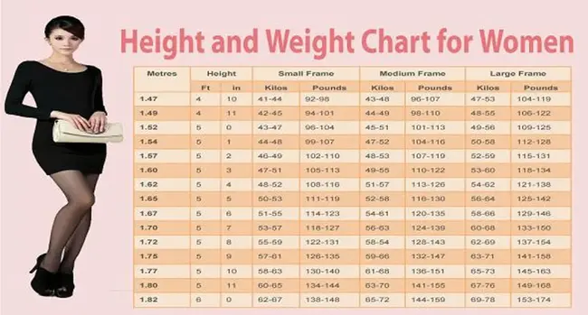 Height Weight Proportion : 身高体重比例