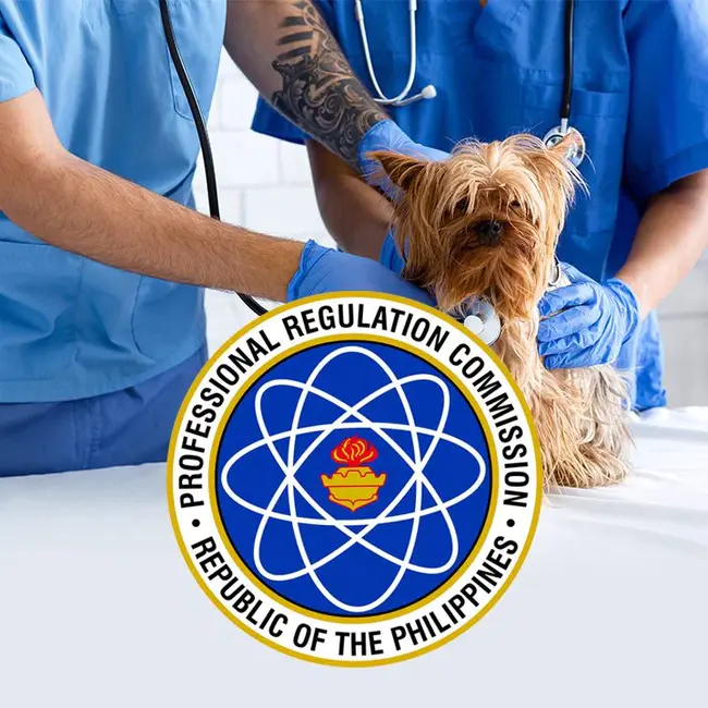 Certified Veterinary Assistant : 注册兽医助理