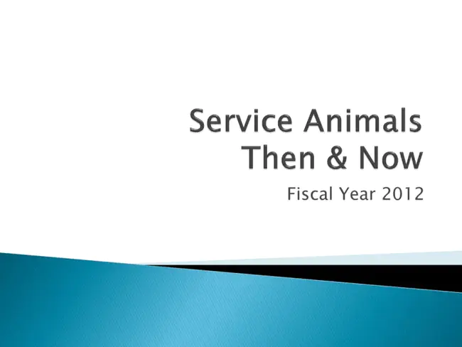 Providing Animal Welfare Services : 提供动物福利服务