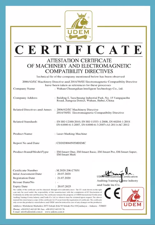 Electronic Certificate for Vision Impairment : 视力损害电子证书