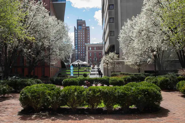 Barnard College Information Technology : 巴纳德学院信息技术