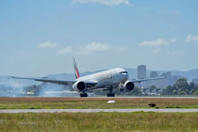 Emirates Vehicle Gate : 阿联酋汽车门