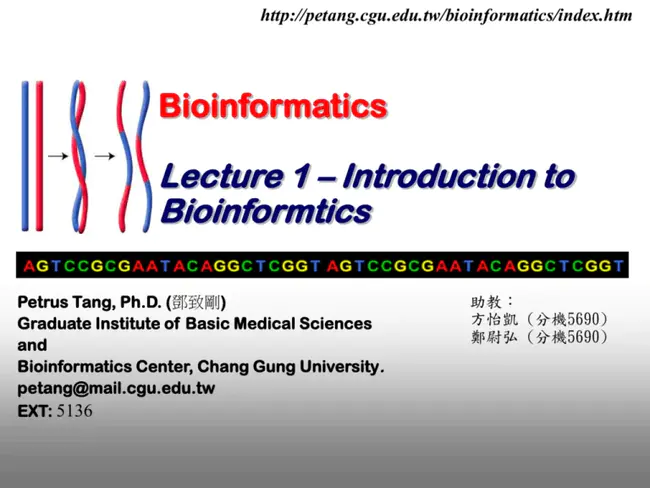 Bioinformatics Training Network : 生物信息学培训网