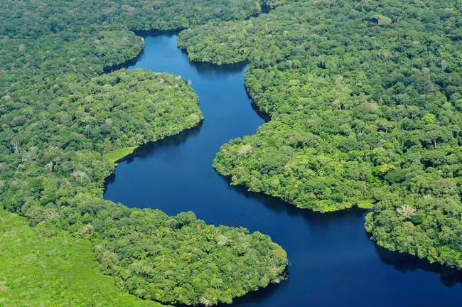 Amazon International Rainforest Reserve : 亚马逊国际雨林保护区