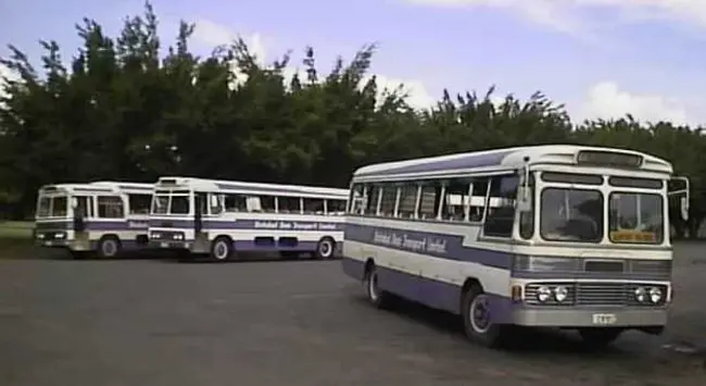 Fiji Bus Operators Association : 斐济巴士运营商协会
