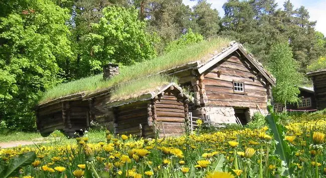 Sod Roofing : 草皮屋面