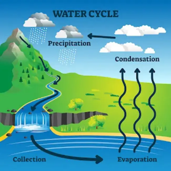 Watercycle Research : 水循环研究