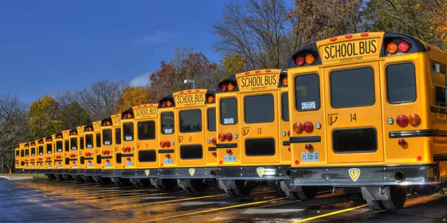 School Pupil Activity Bus : 小学生活动大巴