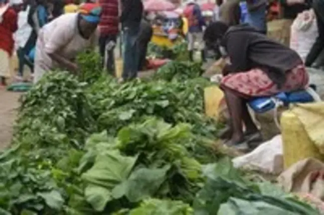 Eastern Africa Farmers Federation : 东非农民联合会