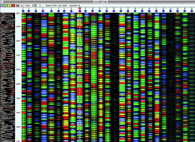 DNA Sequencing Research Group : DNA测序研究组