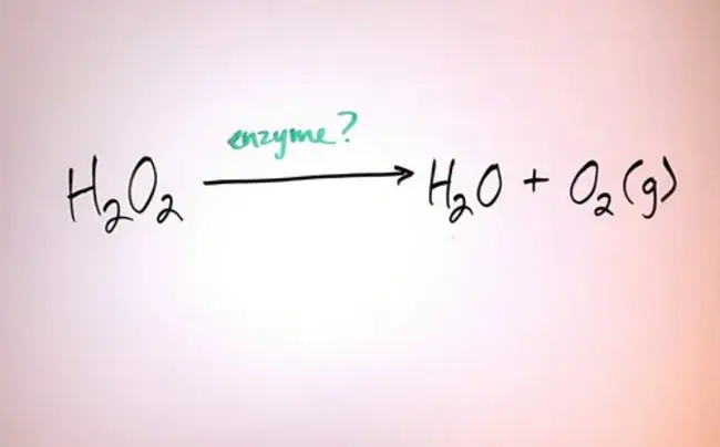 Biochemistry and Molecular Biology : 生物化学和分子生物学