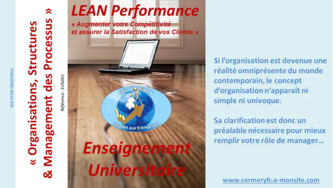 Organisation Development Excellence : 卓越组织发展