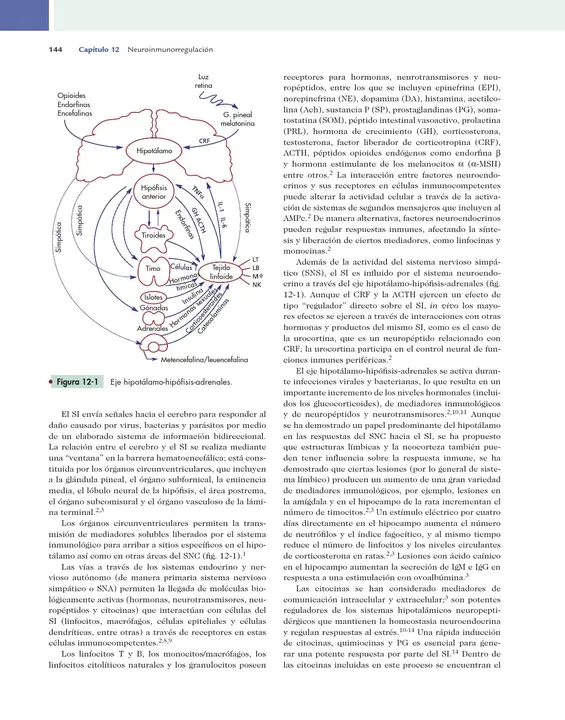 s Molecular Biology Basic : 分子生物学基础