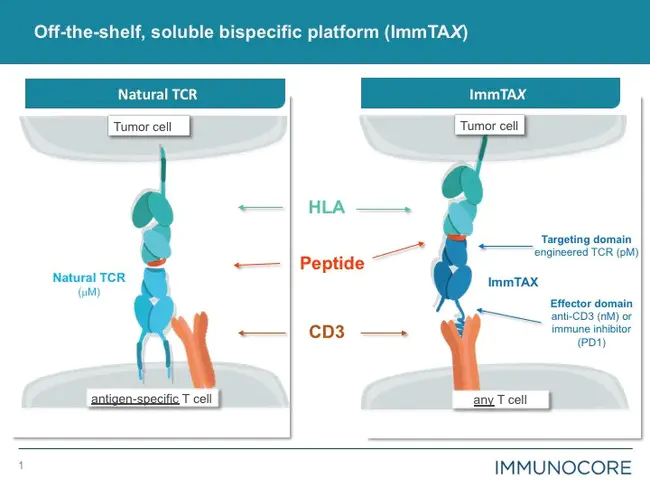 Immuno Video Nephelometer System : 免疫视频比浊仪系统