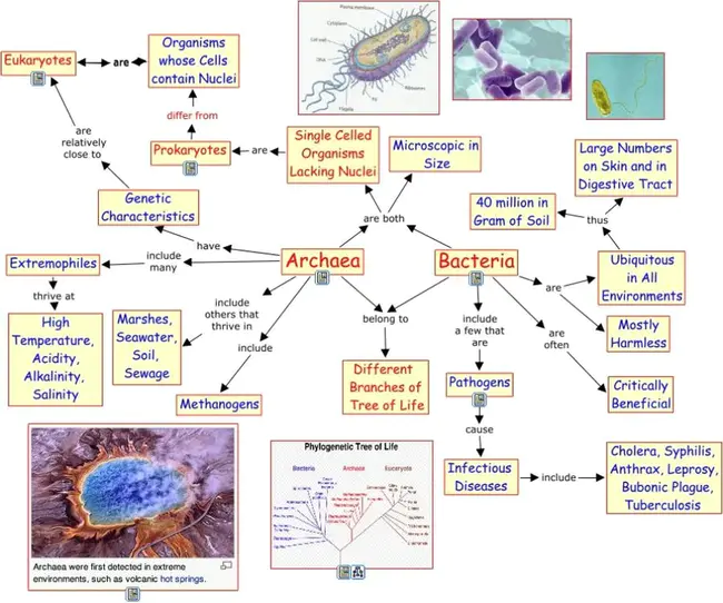 Genomic Encyclopedia of Bacteria and Archaea : 细菌和古细菌基因组百科全书