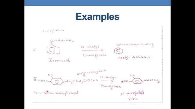 Acetylation Set Enrichment Based : 乙酰化装置浓缩基