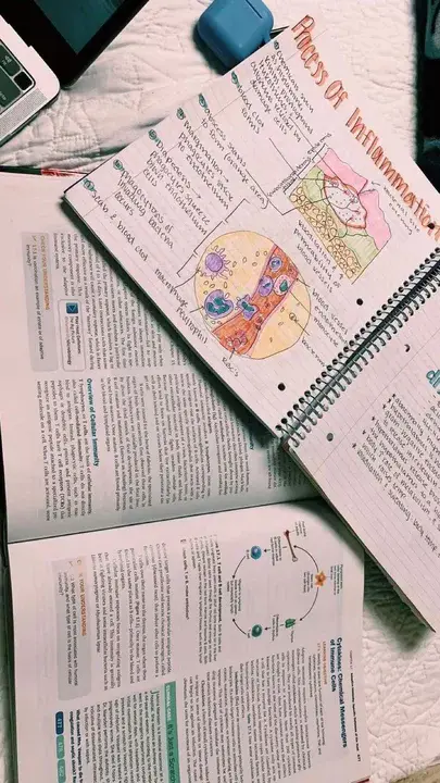 Septic Inflammatory Response System : 脓毒性炎症反应系统